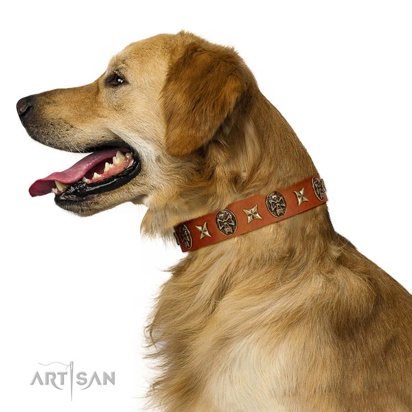 Designer full grain genuine leather dog collar with adornments