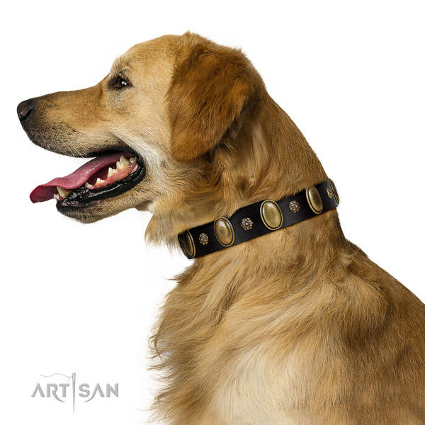 Handy use top notch leather dog collar with studs