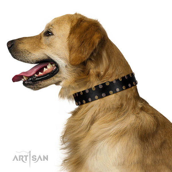Stunning full grain genuine leather dog collar with corrosion resistant decorations