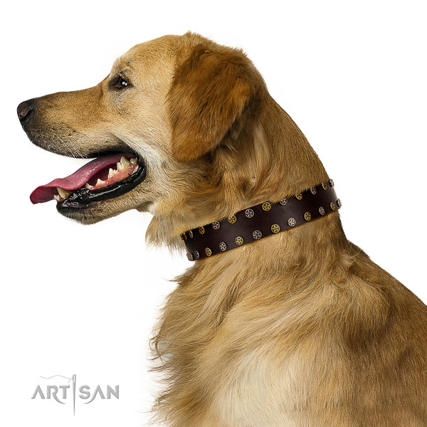 Stylish walking full grain leather dog collar with decorations