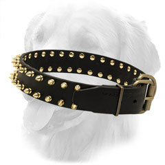 Leather Golden Retriever Collar with Golden-Like Spikes