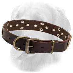 Leather Golden Retriever Collar with Strong Fittings