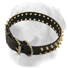 Leather Golden Retriever Collar with Durable D-Ring