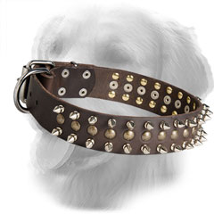 Leather Golden Retriever Collar Decorated with Stylish Half-Ball Studs and Spikes