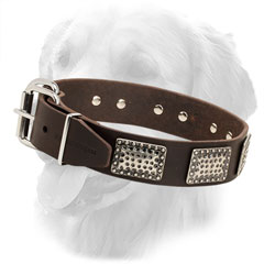 Golden Retriever Collar with Nickel Plated Buckle