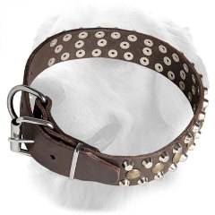 Wide Decorated Golden Retriever Collar with Durable Buckle