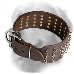 Spiked Golden Retriever Collar with Simple Buckle and Tip Fixator