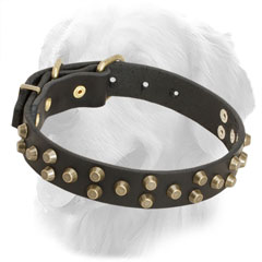 Leather Golden Retriever Collar with Golden-Like Studs