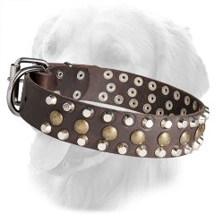 Leather Golden Retriever Collar with Stylish Pyramids and Half-Ball Studs