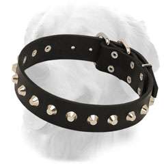Leather Golden Retriever Collar with Silver-Like Studs