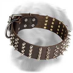 Decorated Golden Retriever Collar with 4 Rows of Nickel Plated Spikes
