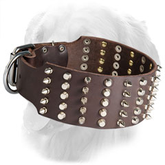 Leather Golden Retriever Collar with Nickel Plated Pyramids and Spikes
