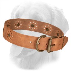 Golden Retriever Collar with Strong Buckle and D-Ring