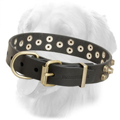 Leather Golden Retriever Collar with Durable Buckle