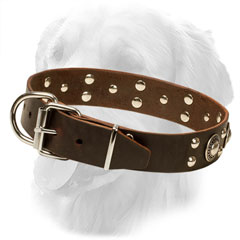 Leather Golden Retriever Collar with Standard Buckle