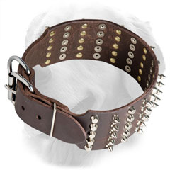 Leather Golden Retriever Collar with Durable Buckle