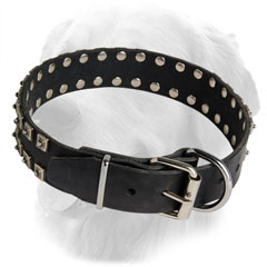Golden Retriever Collar with Nickel Plated Buckle