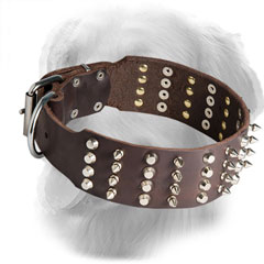Wide Golden Retriever Collar with Nickel Plated Decorations