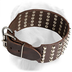  Golden Retriever Collar with Super Strong Nickel Plated Buckle