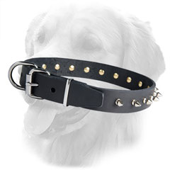 Golden Retriever Dog Leather Collar Nickel Hardware