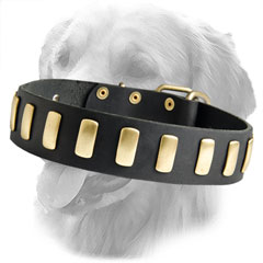 Handcrafted Decorated Leather Collar