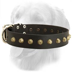 Leather Collar with Brass Decorations