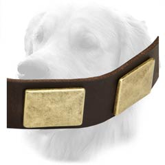Leather Collar for Active Dogs