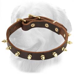Original Leather Collar with Spikes