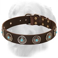 Amazing Leather Collar with Blue Stones