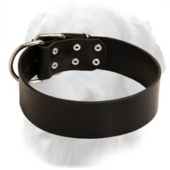 Durable Leather Collar