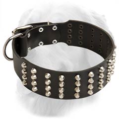 Royal Leather Collar with Nickel Cones