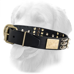 Leather Collar for Active Dogs