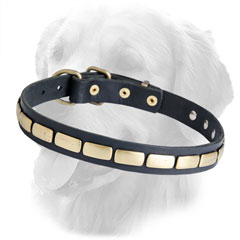Golden Retriever Leather Dog Collar Brass Plates