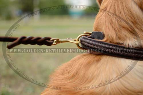 Fashionable Braided Collar for Golden Retrievers