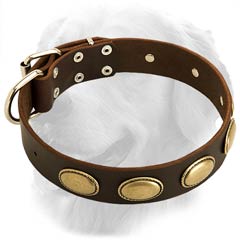 Amazing Leather Collar with Vintage Oval Plates