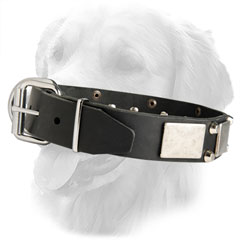 Leather Collar with Nickel Decorations