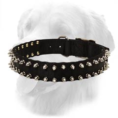 Nylon Collar with Spikes for Any Weather