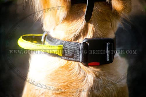 Nylon Collar with Quick Release Buckle