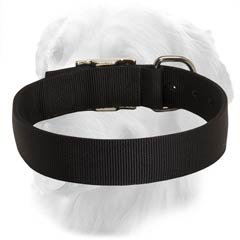 Nylon Collar for Any Weather