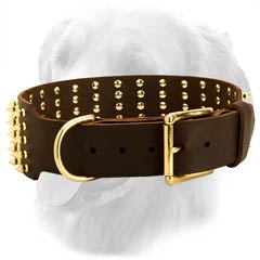 Leather Collar with Brass Buckle