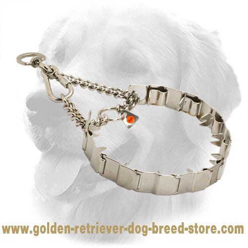 Neck Tech Golden Retriever Pinch Collar for Dog Training