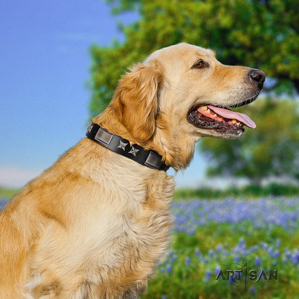 Golden Retriever walking genuine leather collar for your impressive dog