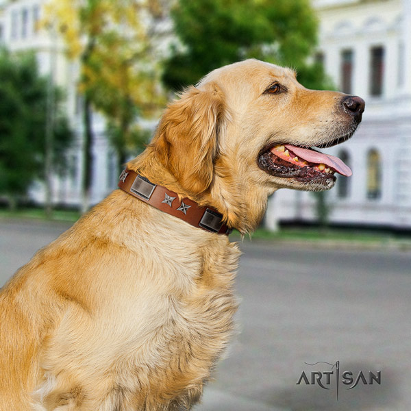 Golden Retriever walking full grain leather collar for your attractive dog