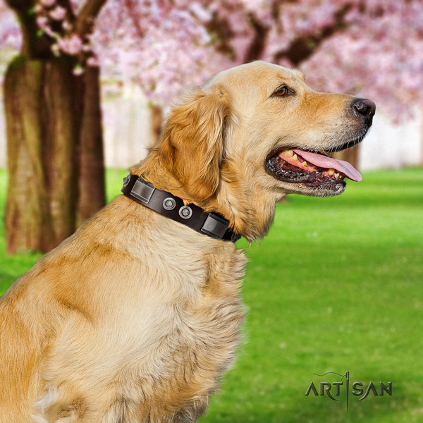 Golden Retriever easy wearing full grain leather collar for your attractive dog