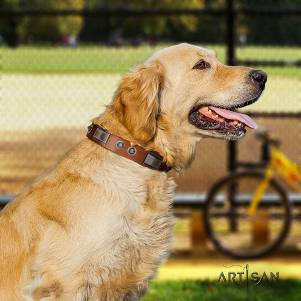 Golden Retriever everyday walking natural leather collar for your lovely doggie
