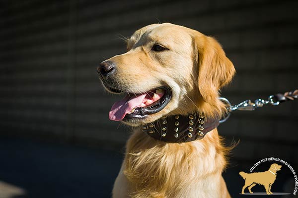 Golden-Retriever brown leather collar of genuine materials with handset decoration for walking in style
