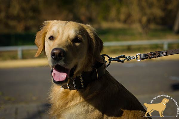 Golden-Retriever leather collar of high quality with handset decoration for daily activity