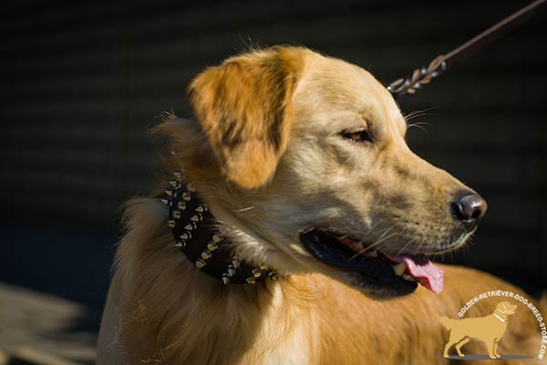 Handmade Golden Retriever Collar with Silver-like Spikes and Cones