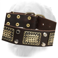 Nickel Studs and Brass Plates on Leather Golden Retriever Collar