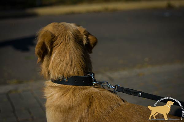 Easy-to-adjust Golden Retriever Collar with Nickel-plated Buckle